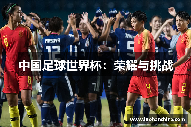中国足球世界杯：荣耀与挑战